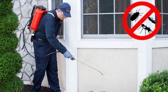 Sarayönü Kemirgen İlaçlama böcek ilaçlama ve haşere kontrolü — ilaclama-tr.com